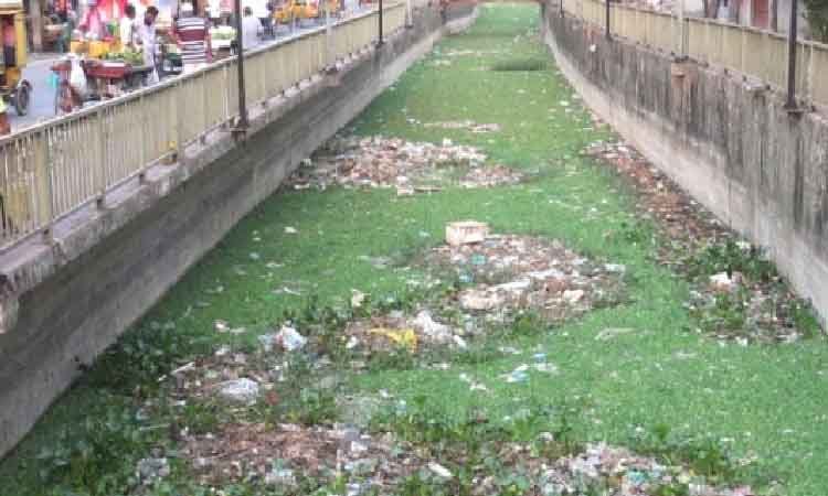 বর্জ্যে ভরাট বাবুরাইল খাল, দায় কার! বাবুরাইল খালের ছবি।