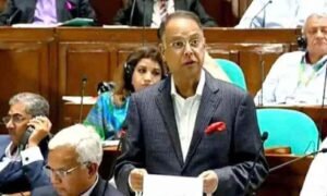 সংসদে বক্তব্য রাখছেন জ্বারানি মন্ত্রী।