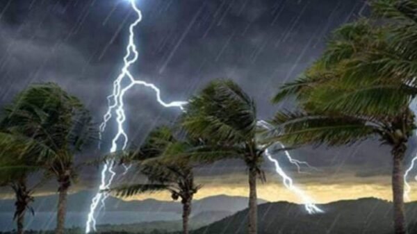 নরসিংদীতে বজ্রপাতে ৩ মাদ্রাসা ছাত্রের মৃত্যু