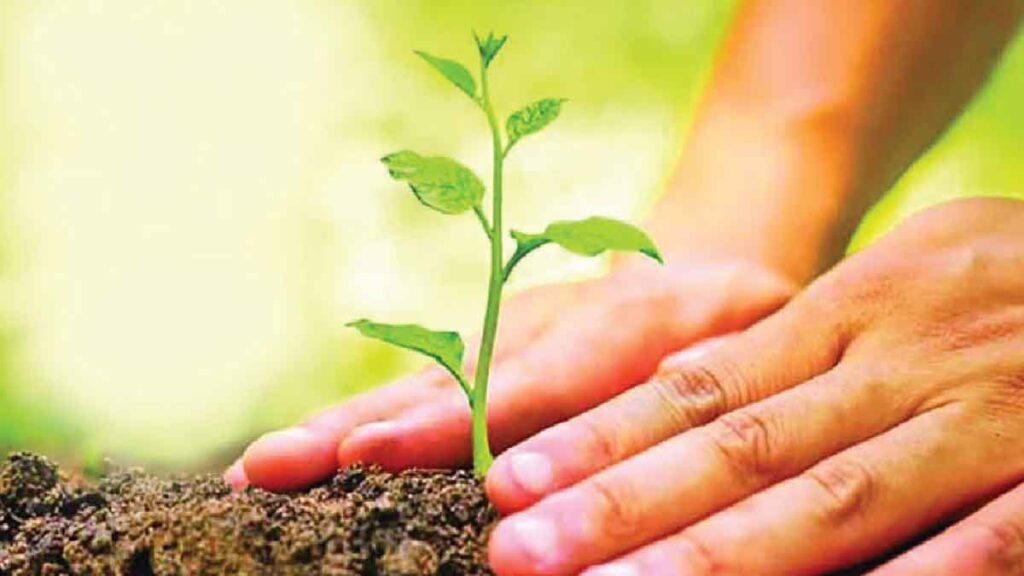 কৃষকদের ১৬ লাখ চারা দেবে সরকার বৃক্ষরোপণের প্রতীকী ছবি