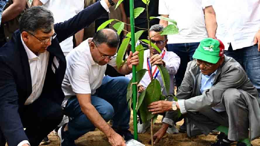 ২৫ কোটি বৃক্ষরোপণ কর্মসূচির আনুষ্ঠানিক উদ্বোধন